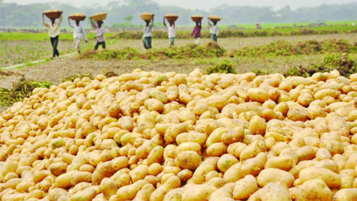 ছবি: সংগ্রহিত।
