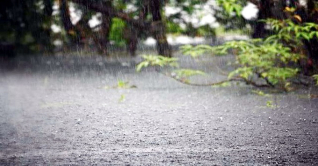 এবার আসছে ভারি বৃষ্টিবলয় ‘স্পিড’, বিডব্লিউওটি যা বললো