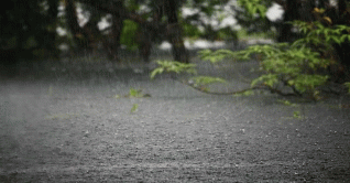 রাজধানীতে হঠাৎ বৃষ্টি, শীতল বাতাস