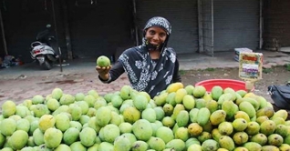 গবেষক থেকে রাইসা এখন ফল বিক্রেতা গবেষক থেকে রাইসা এখন ফল বিক্রেতা