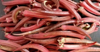 ভারতে লাল ঢ্যাঁড়শ ফলিয়ে হৈচৈ ফেলে দিয়েছে এক কৃষক