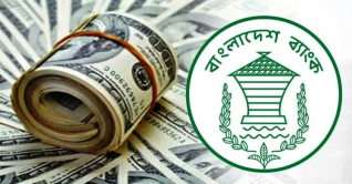 চার সপ্তাহে রেমিট্যান্স এলো ২৬২ কোটি ডলার চার সপ্তাহে রেমিট্যান্স এলো ২৬২ কোটি ডলার
