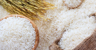 ১৫ টাকা কেজি দরে চাল পাবে ৫০ লাখ পরিবার ১৫ টাকা কেজি দরে চাল পাবে ৫০ লাখ পরিবার