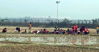 নারী শিশুসহ ৩১ রোহিঙ্গাকে নিয়ে গেছে বিএসএফ