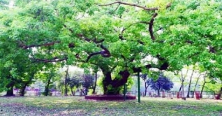 অবরুদ্ধ নববর্ষ, রমনায় সুনসান নীরবতা অবরুদ্ধ নববর্ষ, রমনায় সুনসান নীরবতা