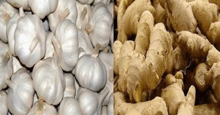 খাতুনগঞ্জে বাড়ছে আদা-রসুনের দাম খাতুনগঞ্জে বাড়ছে আদা-রসুনের দাম