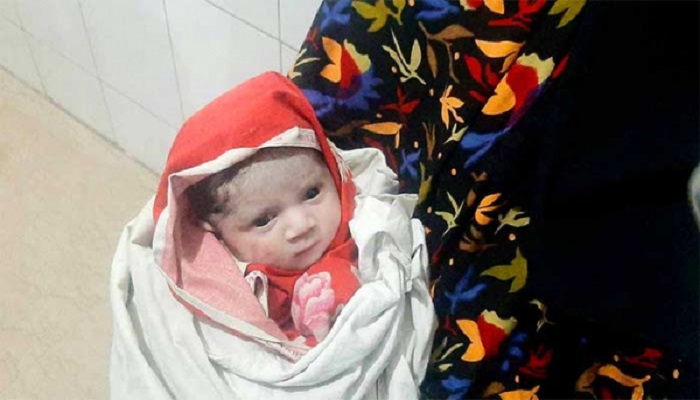 ফাইল ছবি