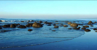 সেন্টমার্টিন নিয়ে আন্দোলনে নামছেন বাস-হোটেল-জাহাজ মালিকরা সেন্টমার্টিন নিয়ে আন্দোলনে নামছেন বাস-হোটেল-জাহাজ মালিকরা