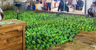 আমে ভরপুর সাতক্ষীরার বাজার, কমেছে দাম আমে ভরপুর সাতক্ষীরার বাজার, কমেছে দাম