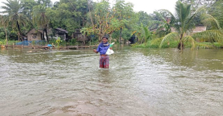 সাতক্ষীরায় কৃষি ও মৎস্য খাতে ক্ষতি ৭০০ কোটি টাকা