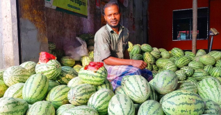 তরমুজের কেজি ১০ টাকা, তবুও ক্রেতা নেই