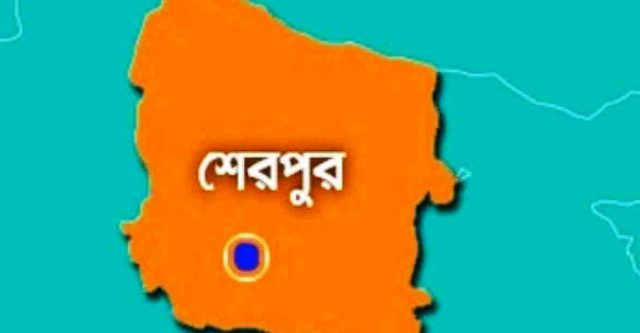 ফাইল ছবি