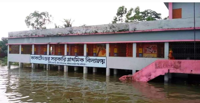 ফাইল ছবি