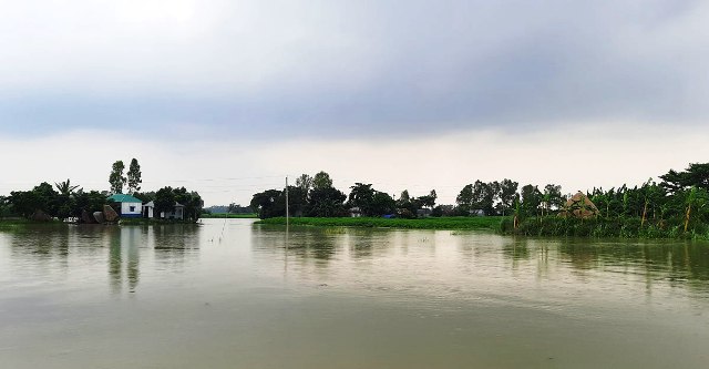 ফাইল ছবি