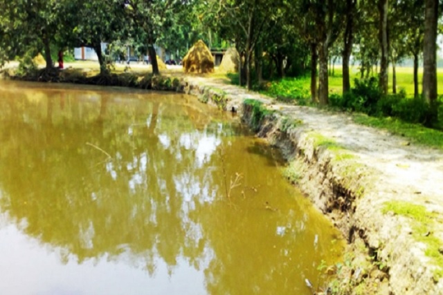 ফাইল ছবি