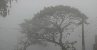 হাড় কাঁপানো শীত, নওগাঁয় তাপমাত্রা নেমেছে ৮ ডিগ্রিতে হাড় কাঁপানো শীত, নওগাঁয় তাপমাত্রা নেমেছে ৮ ডিগ্রিতে