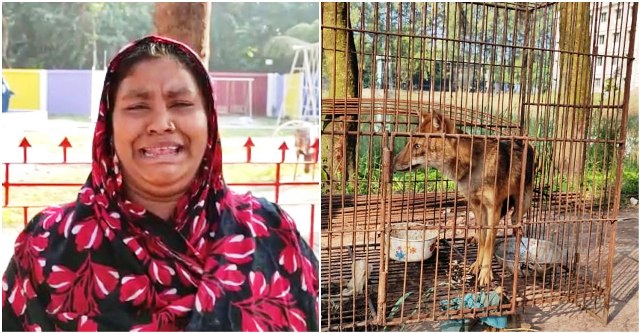 ফাইল ছবি