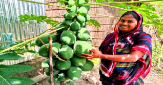 সবজি চাষে ভাগ্য বদলে যাচ্ছে চরাঞ্চলীয় মানুষের
