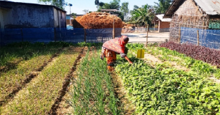 নিরাপদ ফসলের গ্রাম গিরিধরপুর