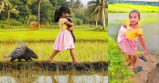 ফেসবুকে ভাইরাল কন্যাশিশুটির পরিচয় জানা গেলে 