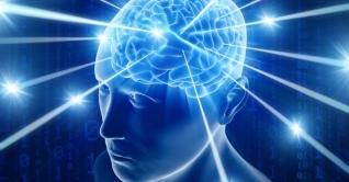 স্মৃতিশক্তি বাড়ানোর ৭ উপায় স্মৃতিশক্তি বাড়ানোর ৭ উপায়