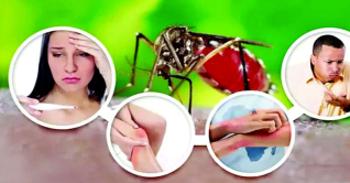 বিশ্বের অর্ধেক মানুষই ডেঙ্গুর ঝুঁকিতে বিশ্বের অর্ধেক মানুষই ডেঙ্গুর ঝুঁকিতে