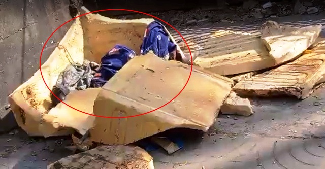 ফাইল ছবি