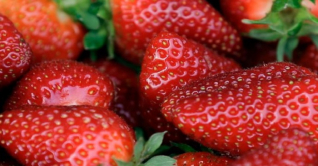 যুক্তরাষ্ট্র ও কানাডায় ছড়াচ্ছে হেপাটাইটিস-এ’র সংক্রমণ