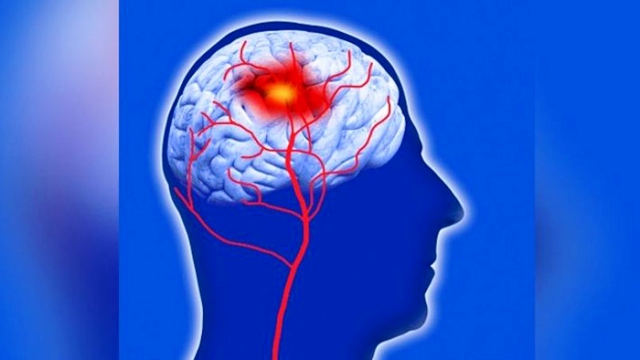 ফাইল ছবি