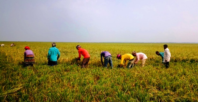 ফাইল ছবি