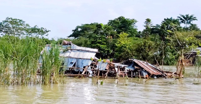 ফাইল ছবি