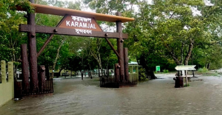 বুক চিতিয়ে রেমালের তাণ্ডব ঠেকিয়ে দিলো সুন্দরবন বুক চিতিয়ে রেমালের তাণ্ডব ঠেকিয়ে দিলো সুন্দরবন