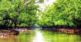 তিনমাস পর আজ উন্মুক্ত হচ্ছে সুন্দরবন তিনমাস পর আজ উন্মুক্ত হচ্ছে সুন্দরবন