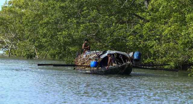 সংগৃহীত ছবি