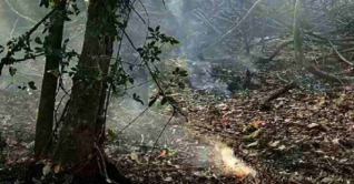 সুন্দরবনে নতুন এলাকায় আগুন নিয়ন্ত্রণে কাজ চলছে