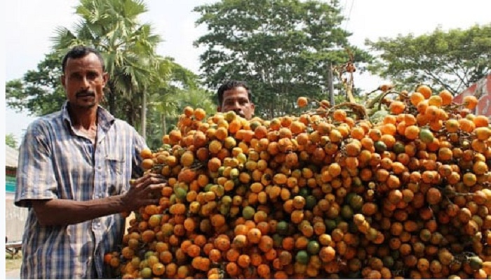 ফাইল ছবি