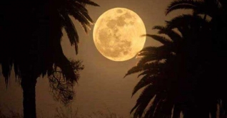 বাংলাদেশের আকাশে আজ রাতে দেখা যাবে ‘সুপারমুন’ বাংলাদেশের আকাশে আজ রাতে দেখা যাবে ‘সুপারমুন’