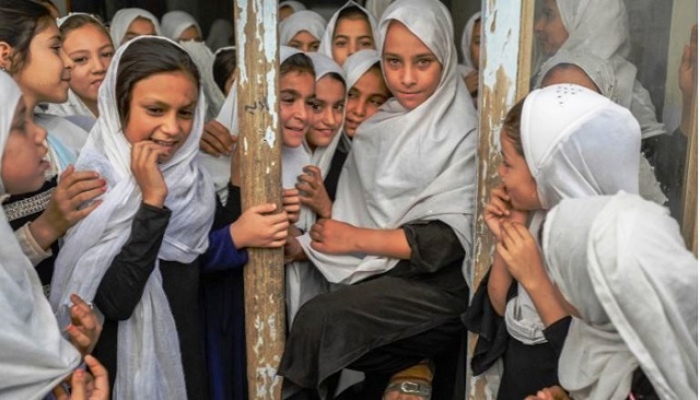 ফাইল ছবি