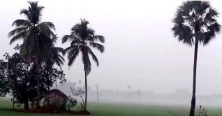 তাপমাত্রা বাড়তে পারে, সাগরে নিম্নচাপ