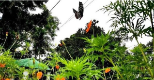 সামান্য কমতে পারে রাতের তাপমাত্রা সামান্য কমতে পারে রাতের তাপমাত্রা