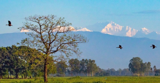 তাঁবু টাঙিয়ে কাঞ্চনজঙ্ঘা দেখছেন পর্যটকরা তাঁবু টাঙিয়ে কাঞ্চনজঙ্ঘা দেখছেন পর্যটকরা