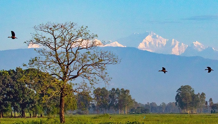 ফাইল ছবি