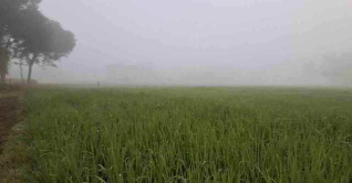 ১৭ ডিগ্রিতে নামল তেঁতুলিয়ার তাপমাত্রা ১৭ ডিগ্রিতে নামল তেঁতুলিয়ার তাপমাত্রা