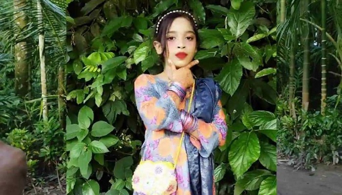 ফাইল ছবি