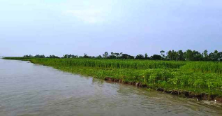 ফের বাড়ছে তিস্তা-দুধকুমার নদের পানি, নিম্নাঞ্চল প্লাবিত