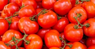 জেনে নিন টমেটোর রকমারি গুণ জেনে নিন টমেটোর রকমারি গুণ
