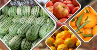 বাজারে গ্রীষ্মের রসালো ফলের দাম চড়া বাজারে গ্রীষ্মের রসালো ফলের দাম চড়া