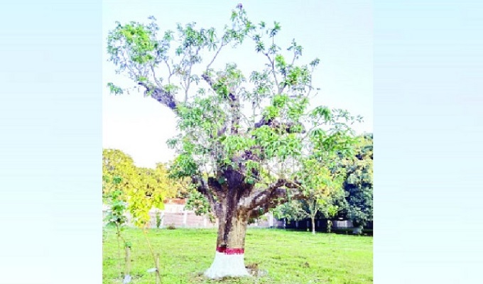 সংগৃহীত ছবি