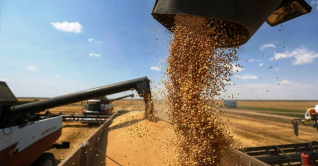 ইউক্রেনে যুদ্ধ বিশ্বব্যাপী দুর্ভিক্ষ ডেকে আনবে: জাতিসংঘ