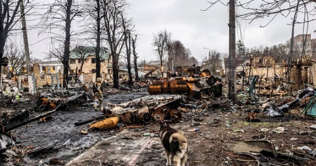 ফাইল ছবি